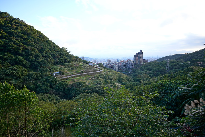 Tamron 24mm F/2.8 Di III OSD M1:2(Model F051)評測報告|廣角微距 輕巧便攜!