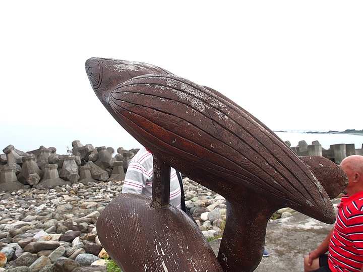 臺東 成功 比西里岸社區 — 羊的家鄉,爆紅太平洋畔的IG打卡熱點