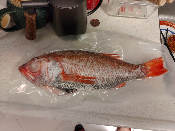 請教這是甚麼魚?
