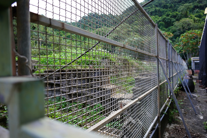 Tamron 24mm F/2.8 Di III OSD M1:2(Model F051)評測報告|廣角微距 輕巧便攜!