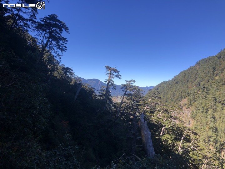20191130 MTB 梨山+華崗+合歡溪林道