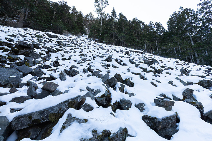 【雪山單攻】踏上雪國之巔~第四刷