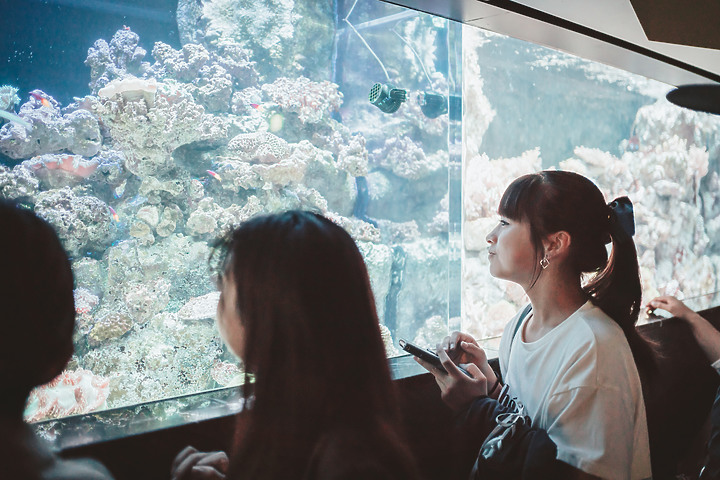 [A7RIII]東京．再訪