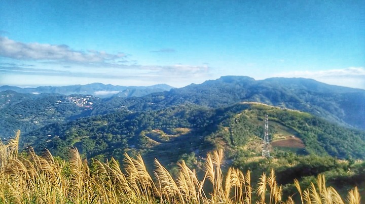 第三屆茶茶山徑越野