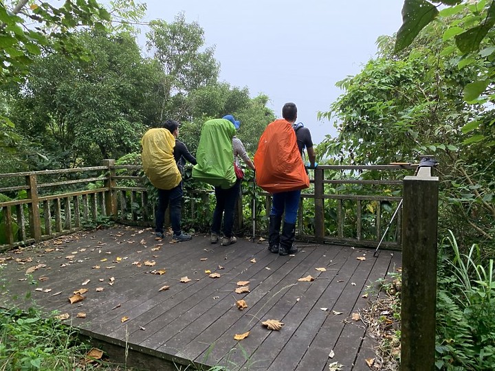 【樟之細路】(左線)出雲古道-十分崠茶亭,原始森林、山嵐美景相伴 (上)
