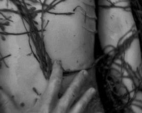 怕是等不到他拍A片了