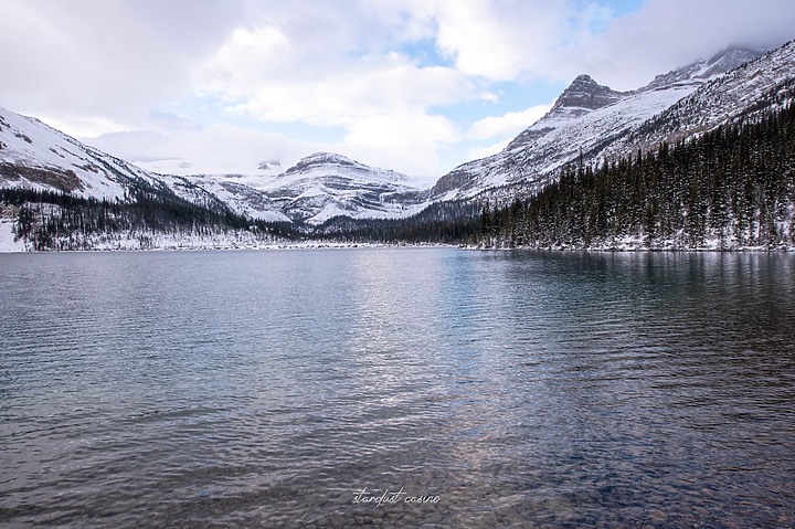 【班夫國家公園】Bow Lake 冰原大道旁探訪弓湖倒影之美 冬季裡的巨大白色沙漠