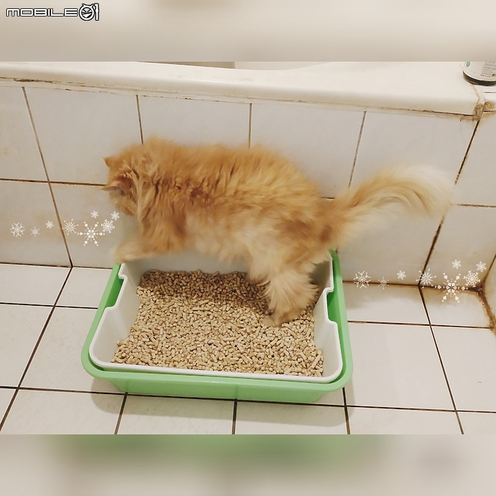 點我看大圖 擁有BioAir家用廁所除味機 跟惱人臭味說掰掰