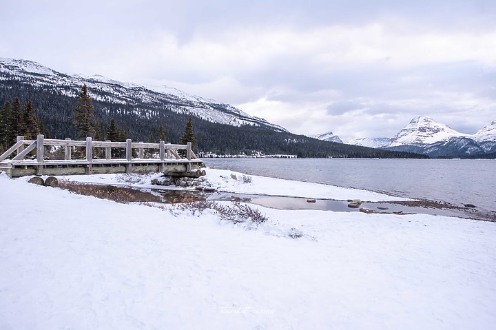 【班夫國家公園】Bow Lake 冰原大道旁探訪弓湖倒影之美 冬季裡的巨大白色沙漠