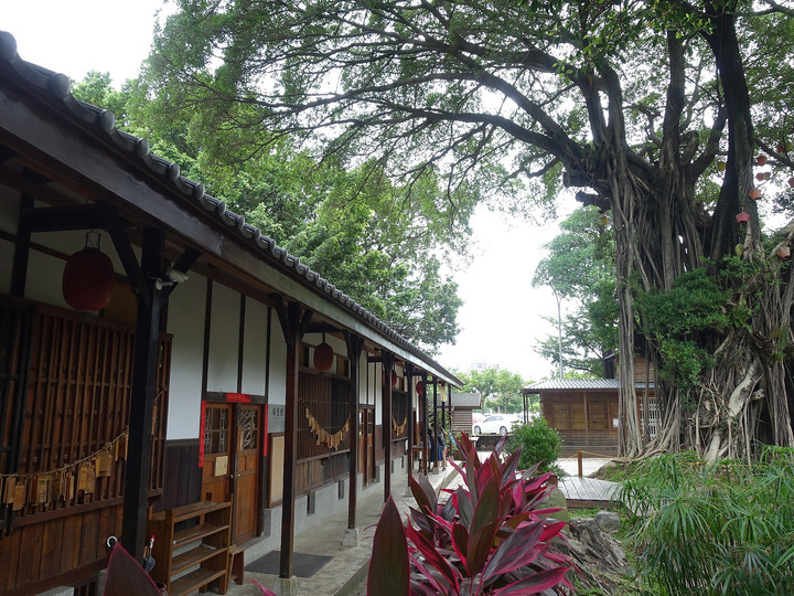 臺中市 西區 道禾六藝文化館|臺中刑務所演武場 - 城市中的一方綠意