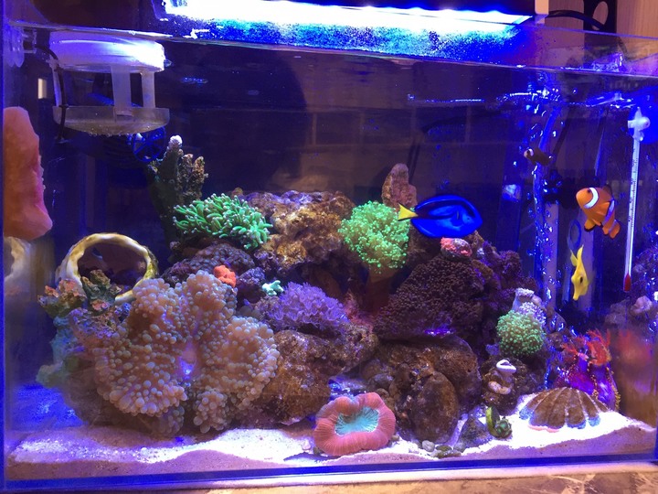 aquaeri濾水器開箱文!