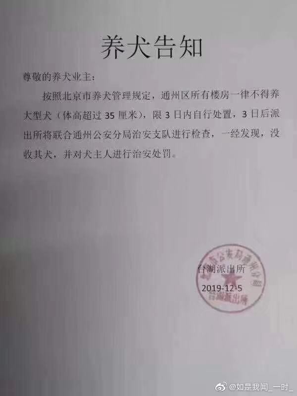 點我看大圖 北京頒布限狗令 要求飼主自行殺死愛犬