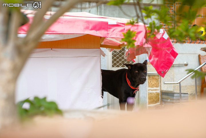 2019 中年大叔 浯島小旅行 [金門] 更新已完結