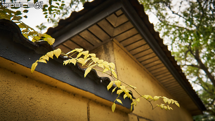 點我看大圖 秋醉金陵,再看南京