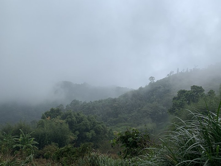 【樟之細路】(左線)出雲古道-十分崠茶亭,原始森林、山嵐美景相伴 (上)