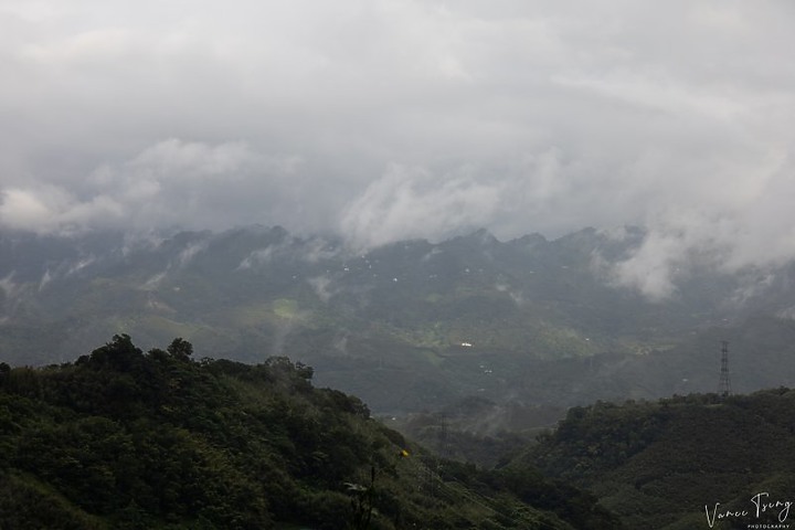 【樟之細路】(左線)出雲古道-十分崠茶亭,原始森林、山嵐美景相伴 (上)