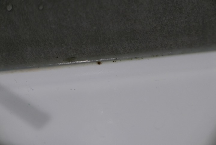 廁所浴室除霉成效分享