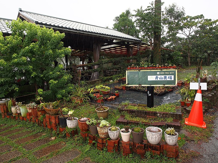臺東 太麻里 青山農場民宿 — 由金針工廠變身的民宿農場,欣賞太麻里金針花的最佳住宿點