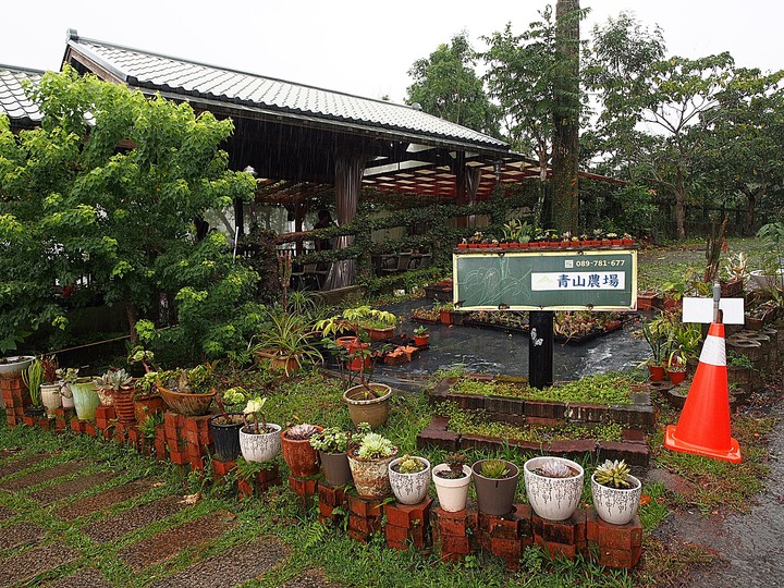 臺東 太麻里 青山農場民宿 — 由金針工廠變身的民宿農場，欣賞太麻里金針花的最佳住宿點