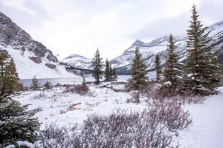 【班夫國家公園】Bow Lake 冰原大道旁探訪弓湖倒影之美 冬季裡的巨大白色沙漠