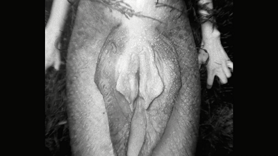 怕是等不到他拍A片了