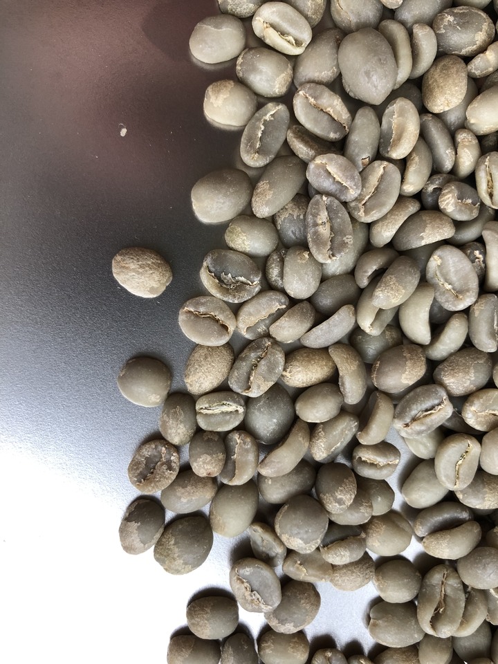 ［求救］第一次購買生豆 挑豆問題