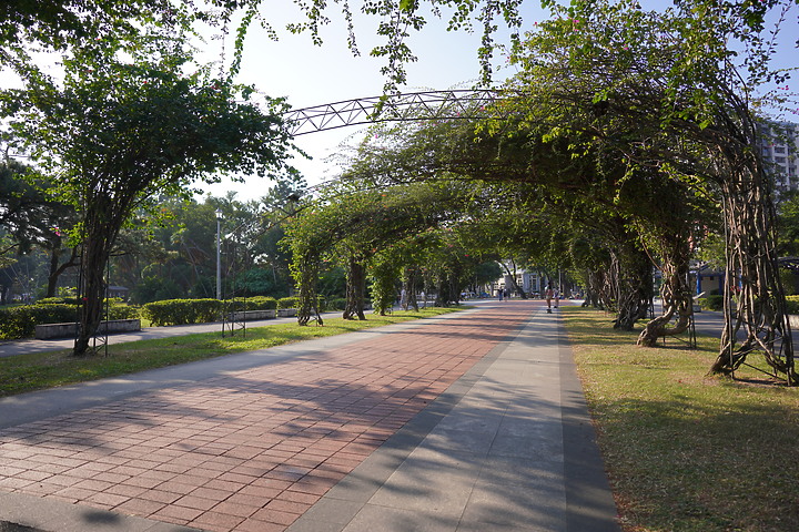 Tamron 24mm F/2.8 Di III OSD M1:2(Model F051)評測報告|廣角微距 輕巧便攜!