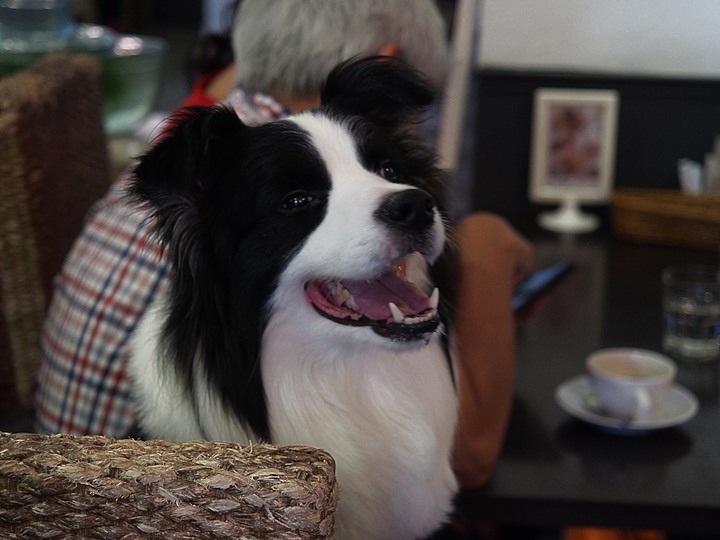桃園 八德 八塊画室 — 從老診所變身文青景點