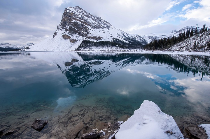 【班夫國家公園】Bow Lake 冰原大道旁探訪弓湖倒影之美 冬季裡的巨大白色沙漠