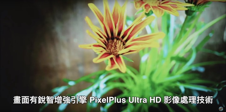 極細美邊視野無界~大型顯示器 Philips 55PUH6004 開箱評測 - 5 極細美邊視野無界~大型顯示器 Philips 55PUH6004 開箱評測 - 5