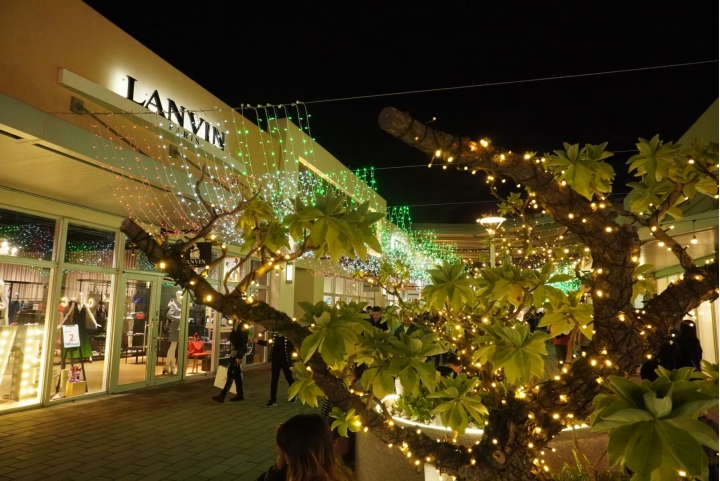 把握2019年最後一場雪景!