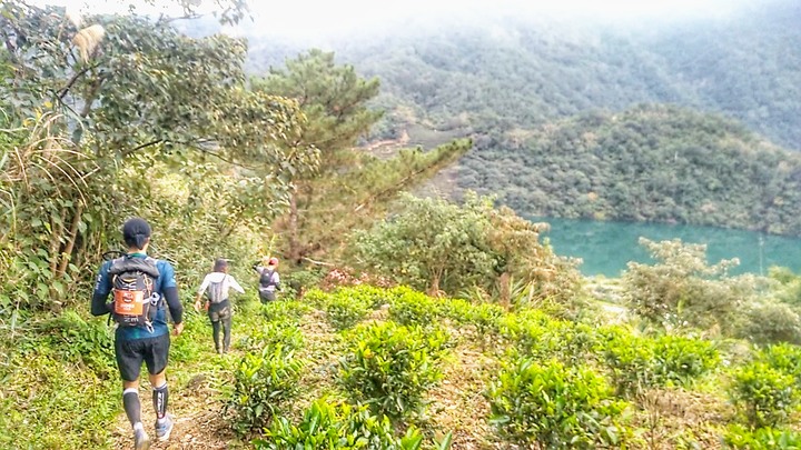第三屆茶茶山徑越野
