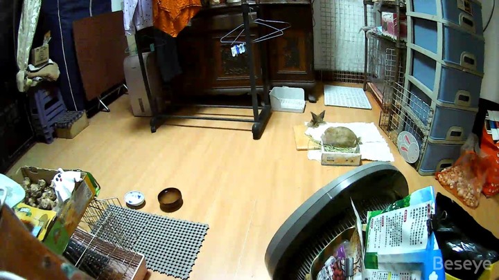beseye寵物攝影機開箱