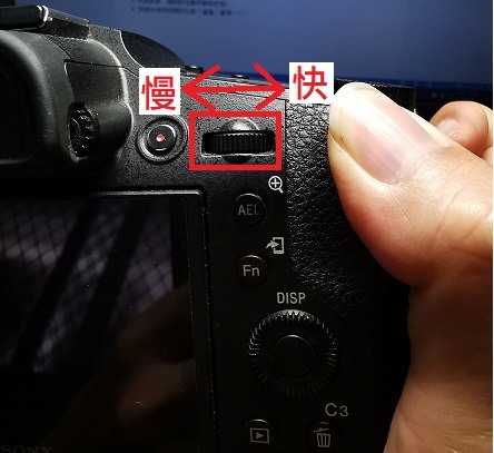 點我看大圖 《SonyRX10 IV野生動物攝影大賽》試用心得