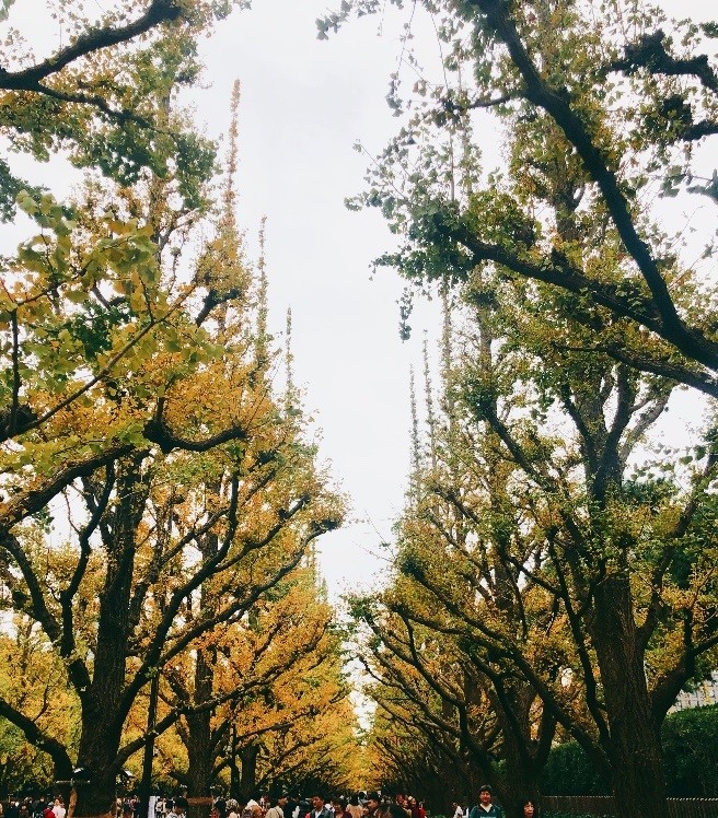 朝聖～先來去東京奧運踩一波～
