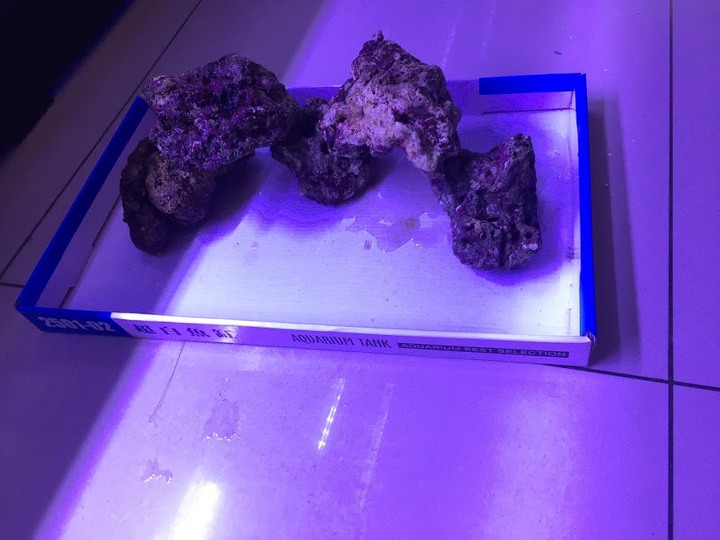 aquaeri濾水器開箱文!