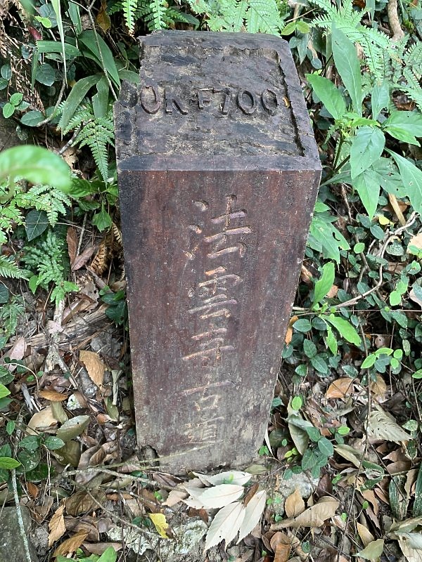 【樟之細路】(左線)出雲古道-十分崠茶亭,原始森林、山嵐美景相伴 (上)