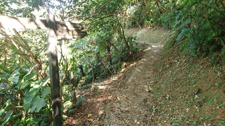 [樂山童盟] [新北新店] 銀河洞越嶺步道(銀河洞-貓空纜車站-樟樹步道-樟湖步道)-很有趣的聖杯造型路線