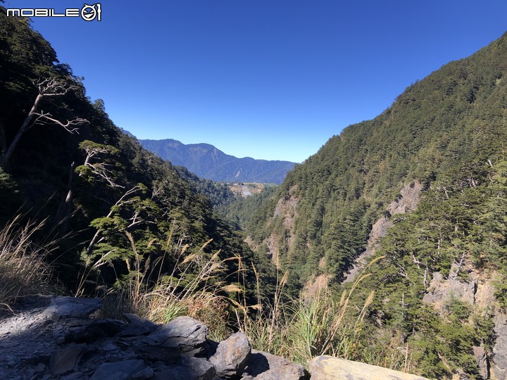 20191130 MTB 梨山+華崗+合歡溪林道