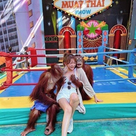 （請益）這是紅毛猩猩嗎