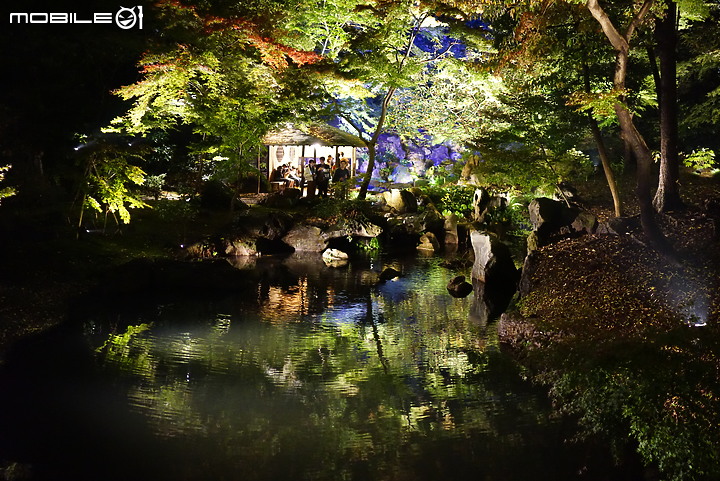 [a7R & FE35] 重拾熱情之一機一鏡輕旅行 - 東京 六義園夜楓 x 銀杏隨手拍
