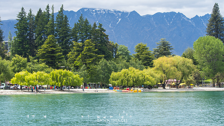 ++ OhYa ++ 紐西蘭。南島。初夏。NewZealand