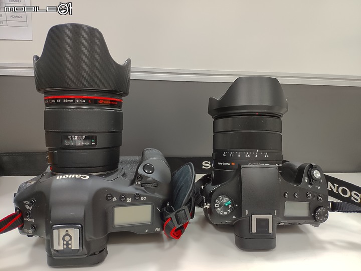 《Sony RX10 IV野生動物攝影大賽》試用活動-一次過程不完美卻是夢寐以求的攝影經驗
