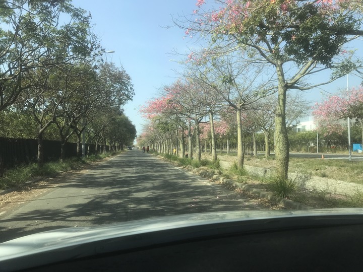 獻給猶豫貼南亞隔熱紙的朋友(南亞隔熱紙開箱分享,前擋A9/車身TOUGH/全景天窗A9)