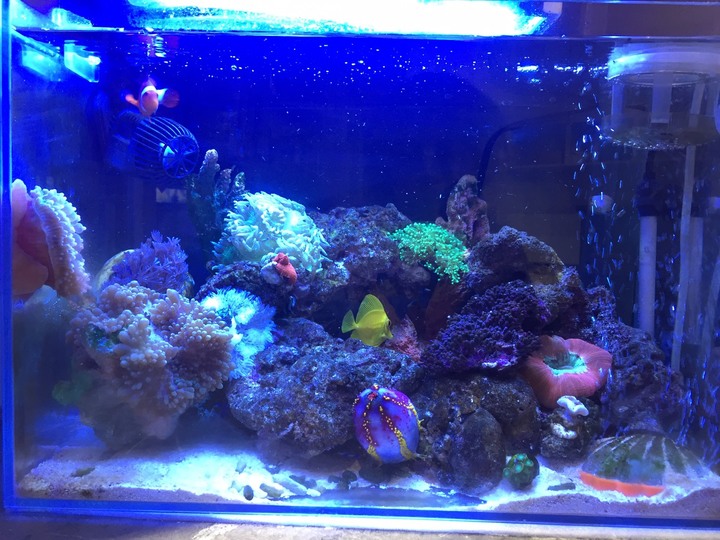 aquaeri濾水器開箱文!