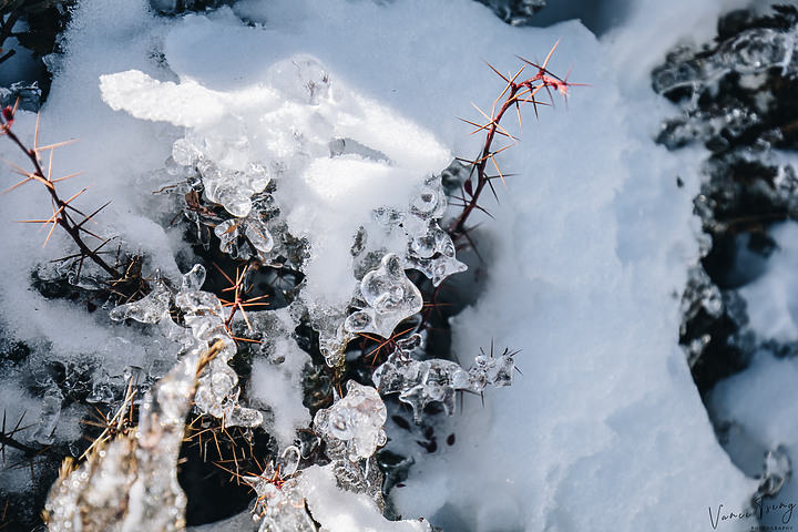 【雪山單攻】踏上雪國之巔~第四刷