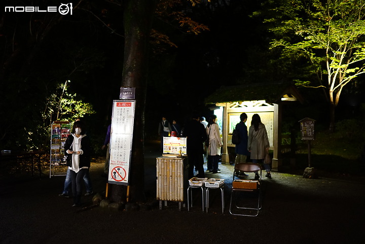 [a7R & FE35] 重拾熱情之一機一鏡輕旅行 - 東京 六義園夜楓 x 銀杏隨手拍