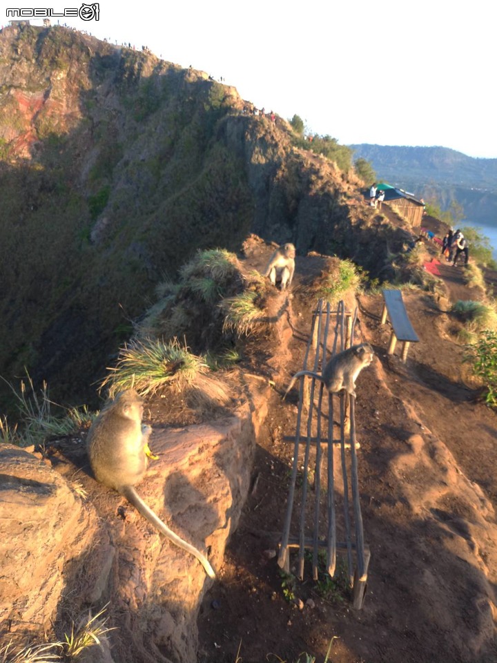 跳跳小驊—峇里島七天六夜分享(第一至二天)