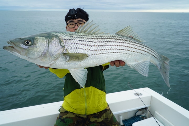 Fishing Traveler (環球釣者) - [淡水河107cm 海鱸 VS 美國巨鱸]夢幻巨海鱸之旅 Day 2 - 與世界第一傳奇釣手，釣魚之神Mike iaconelli的海鱸之旅