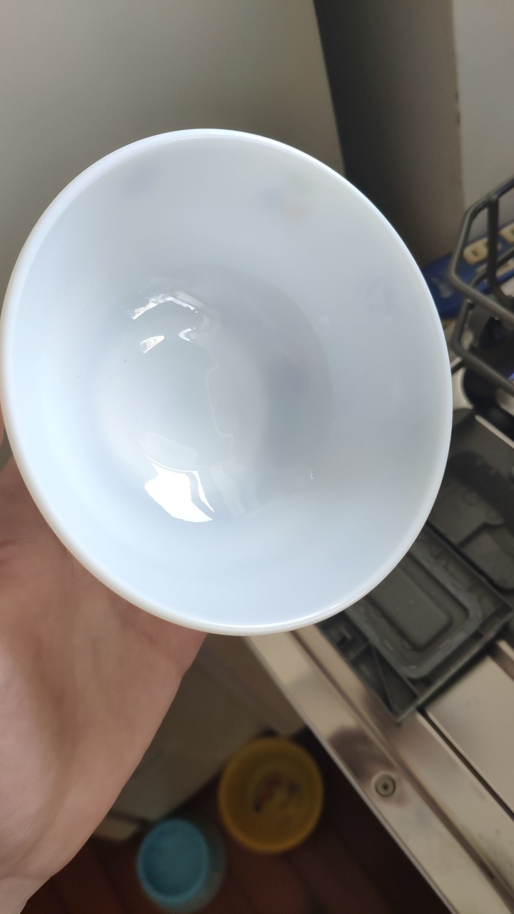 (抱怨文) 美寧洗碗機-用了兩個月變這副德性